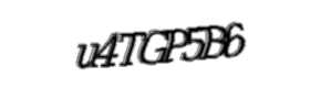 Security check image, please type the characters shown